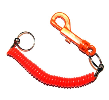 Springy hot sale key chain